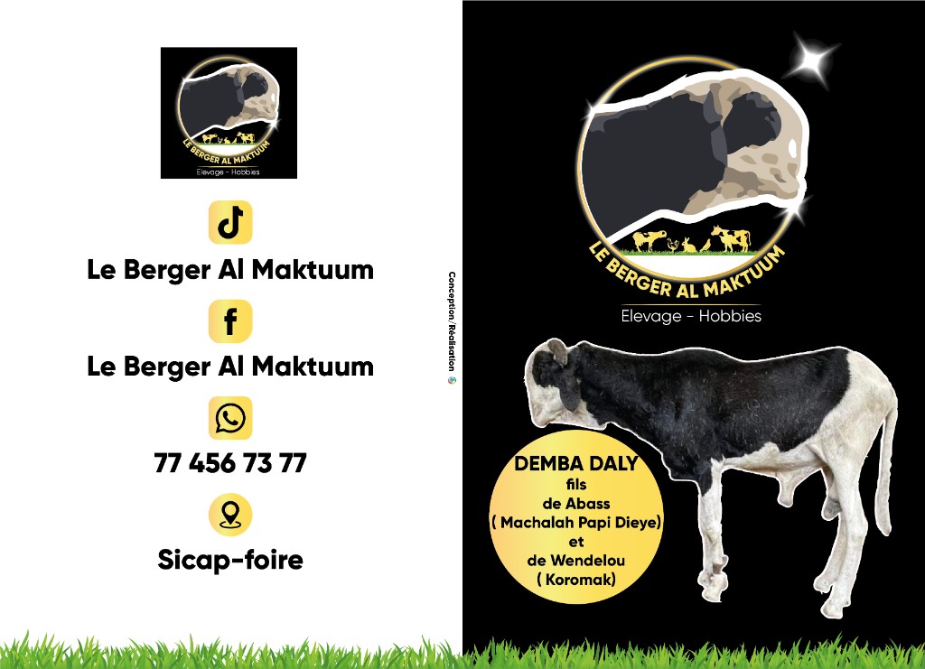 Affiche et flyer — Le Berger Al Maktuum, élevage